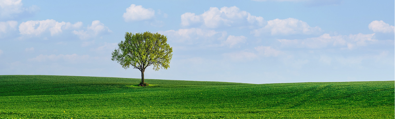BCF紡絲試驗機(jī)，BCF紡絲試驗機(jī)那家生產(chǎn)，BCF紡絲試驗機(jī)優(yōu)質(zhì)生產(chǎn)商，山東BCF紡絲試驗機(jī)廠家， 淄博方辰機(jī)械科技有限公司